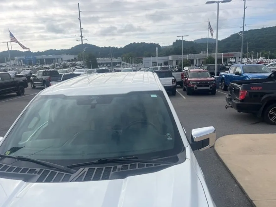 2021 Ford F-150 Platinum photo 1