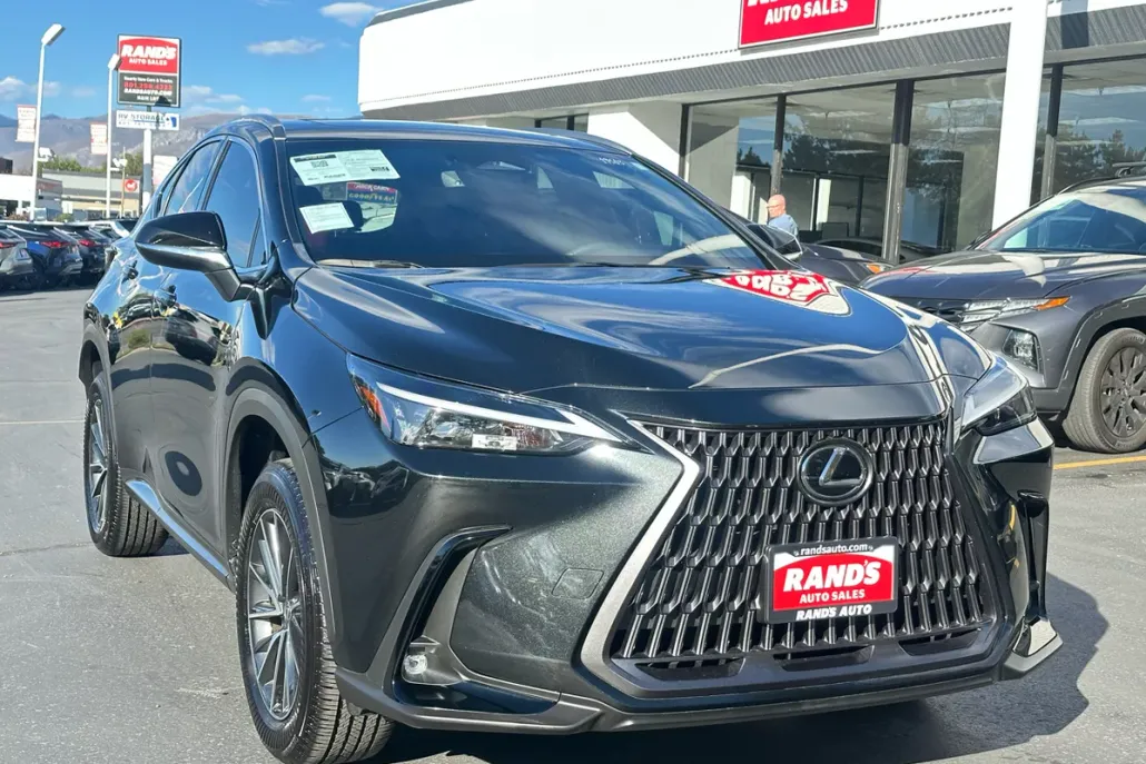 2024 Lexus NX 350h Premium photo 1