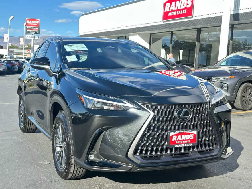 2024 Lexus NX 350h Premium photo 1