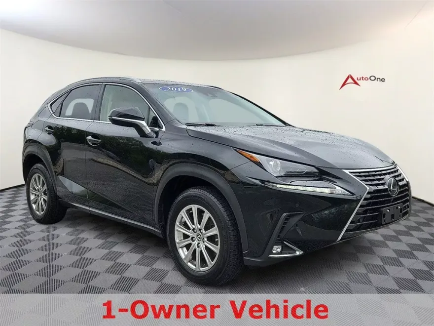 2019 Lexus NX 300 Luxury photo 1