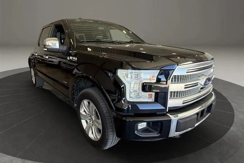 2016 Ford F-150 Platinum photo 1