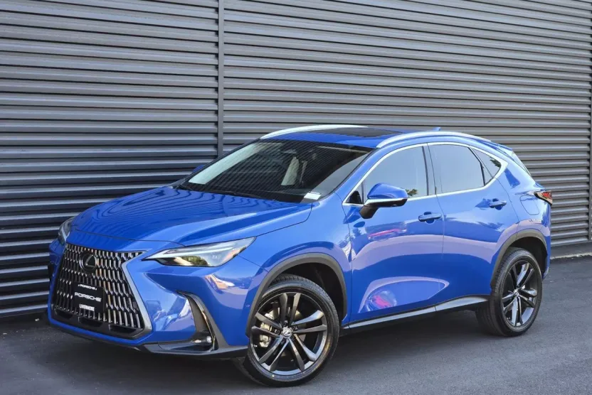 2022 Lexus NX Luxury photo 1