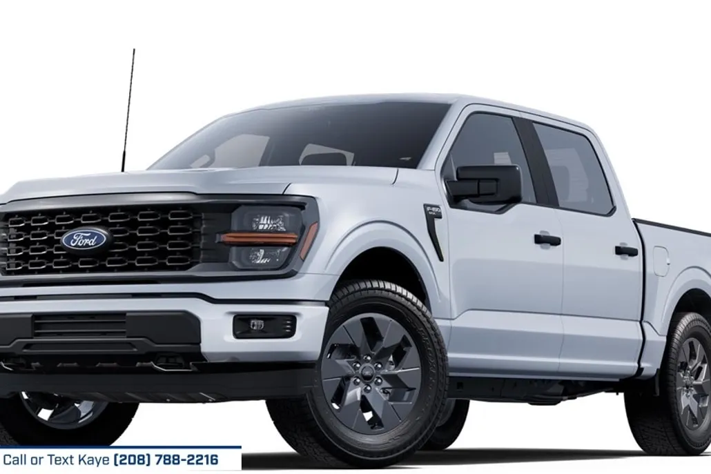 2025 Ford F-150 STX photo 1