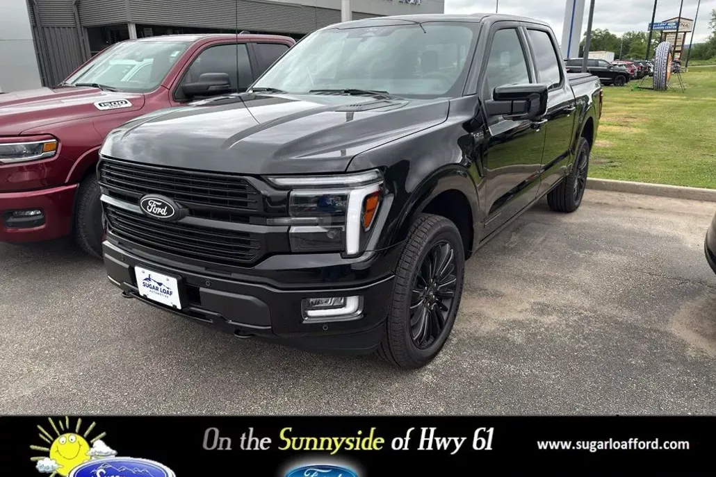 2025 Ford F-150 Platinum photo 1