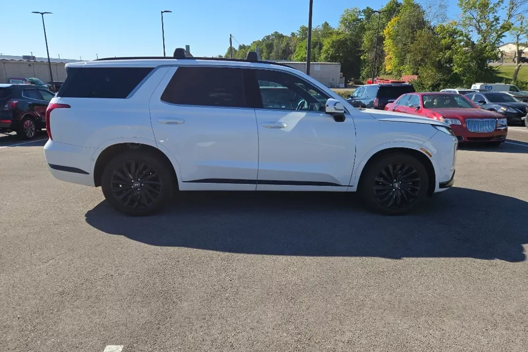 2024 Hyundai Palisade Calligraphy photo 1