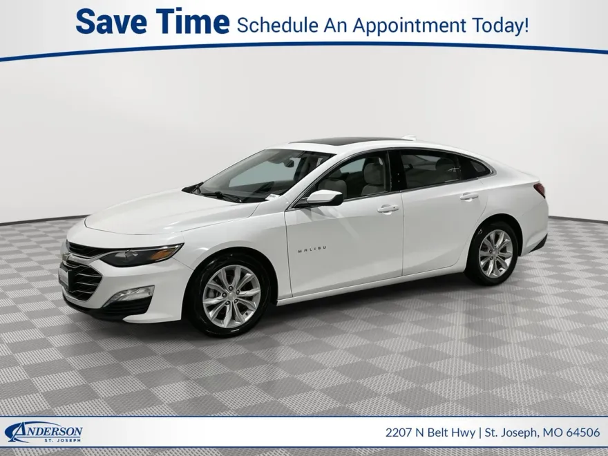2019 Chevrolet Malibu 1LT photo 1