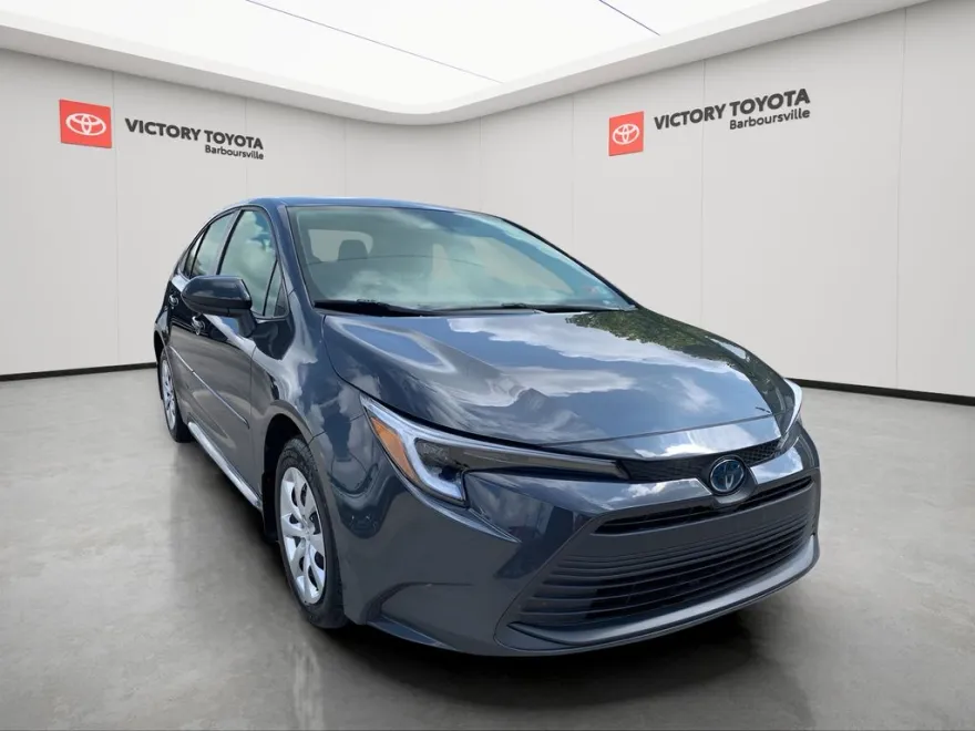 2024 Toyota Corolla Hybrid LE photo 1
