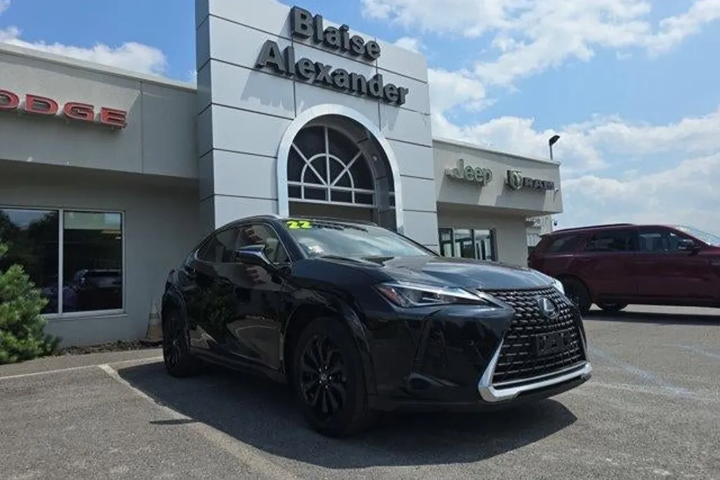 2022 Lexus UX 250h photo 1