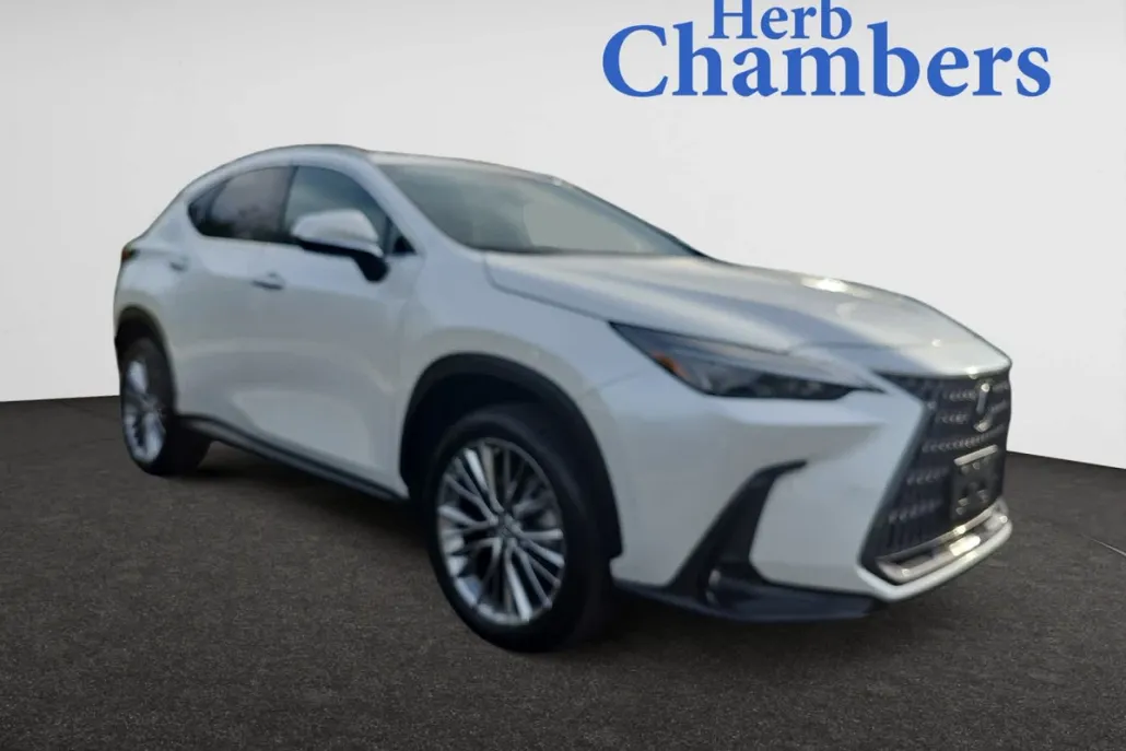 2023 Lexus NX 350h Premium photo 1