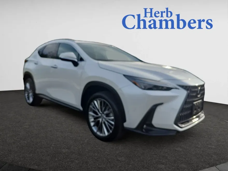2023 Lexus NX 350h Premium photo 1