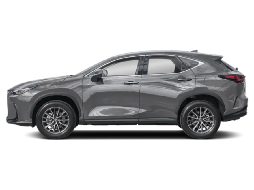 2025 Lexus NX 250 Premium photo 1