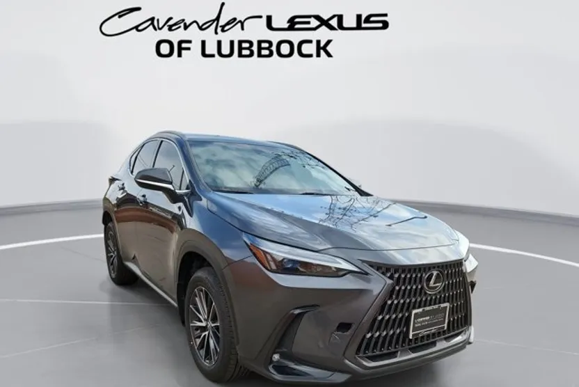 2024 Lexus NX 250 photo 1