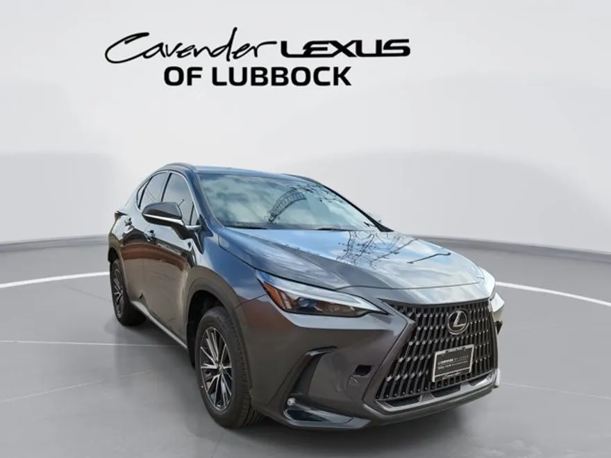 2024 Lexus NX 250 photo 1