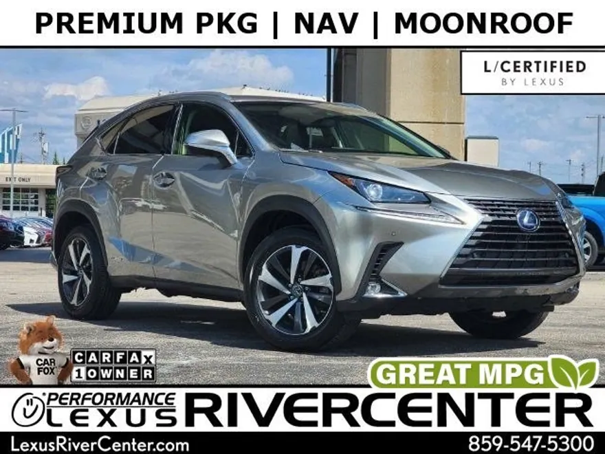 2019 Lexus NX 300h Luxury photo 1