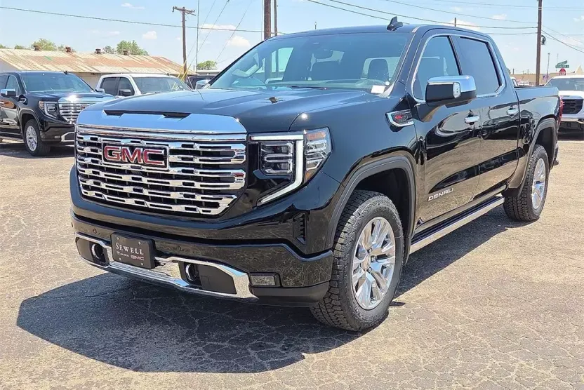 2025 Gmc Sierra 1500 Denali photo 1