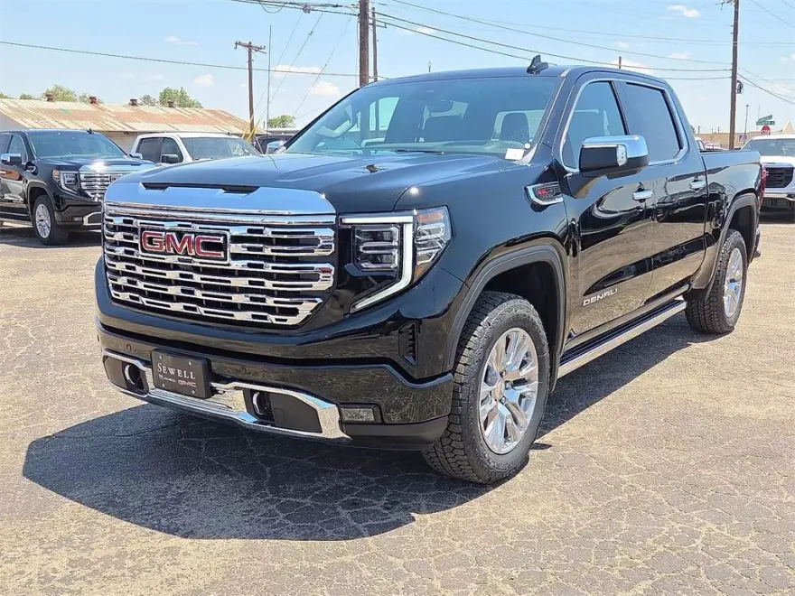 2025 Gmc Sierra 1500 Denali photo 1