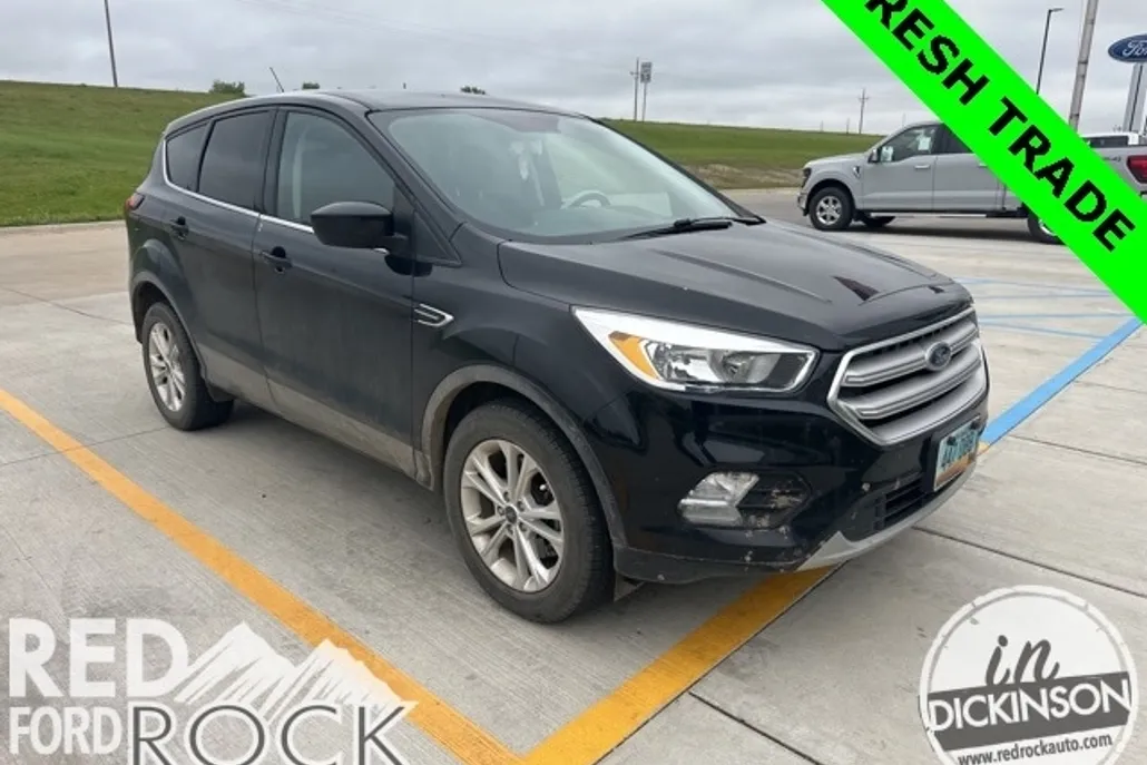 2019 Ford Escape SE photo 1