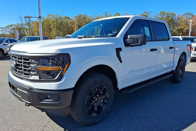 2025 Ford F-150 STX FX4 photo 1