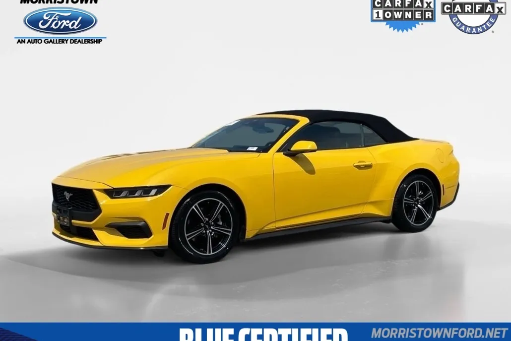 2024 Ford Mustang EcoBoost Premium photo 1