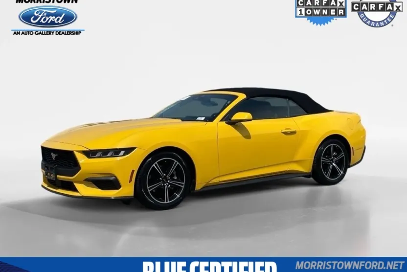2024 Ford Mustang EcoBoost Premium photo 1