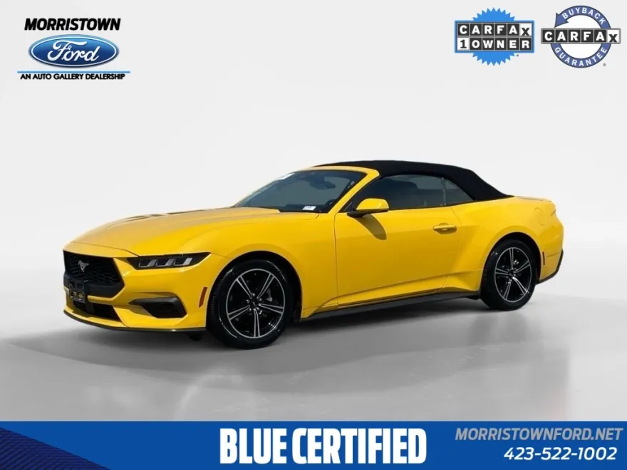 2024 Ford Mustang EcoBoost Premium photo 1