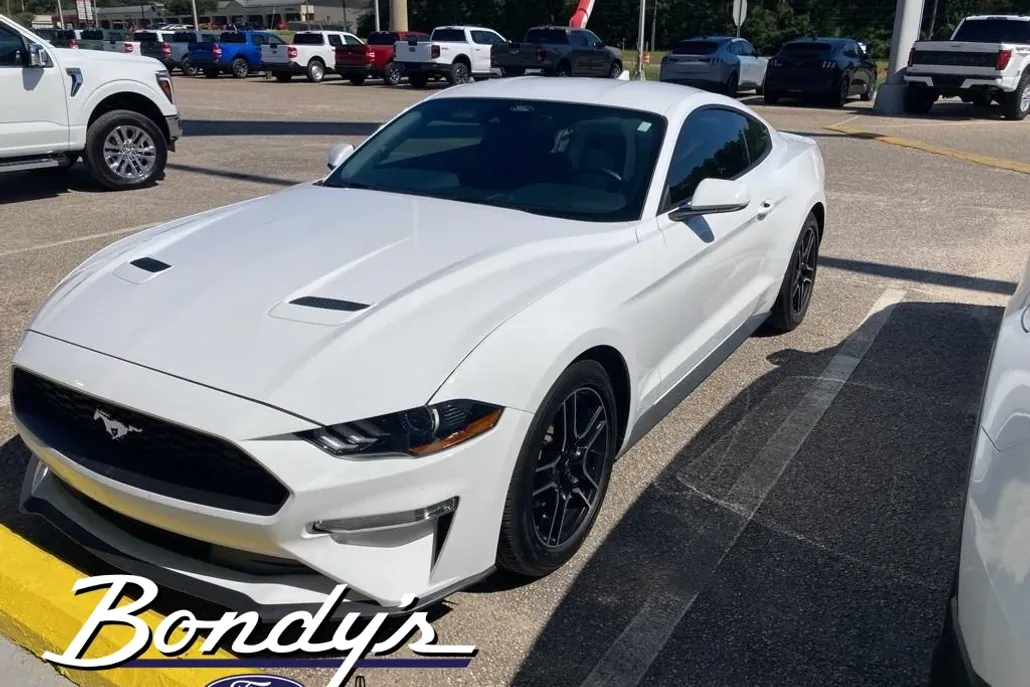 2022 Ford Mustang EcoBoost photo 1