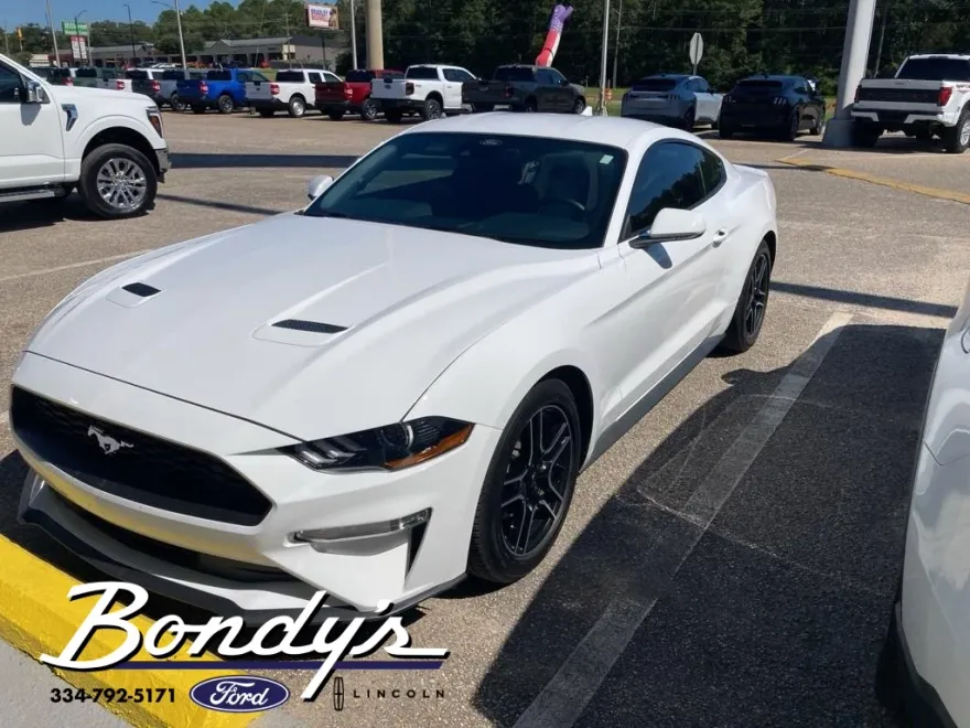 2022 Ford Mustang EcoBoost photo 1