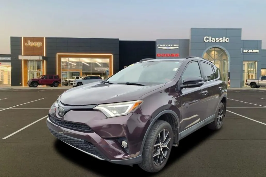 2017 Toyota RAV4 SE photo 1