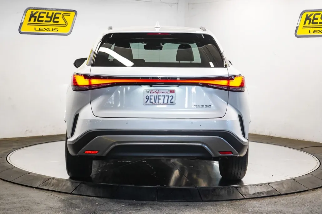 2023 Lexus RX 350 Premium photo 1