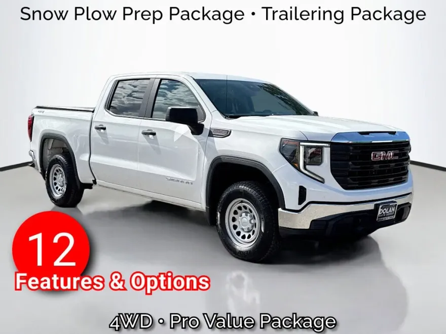 2022 Gmc Sierra 1500 Pro photo 1