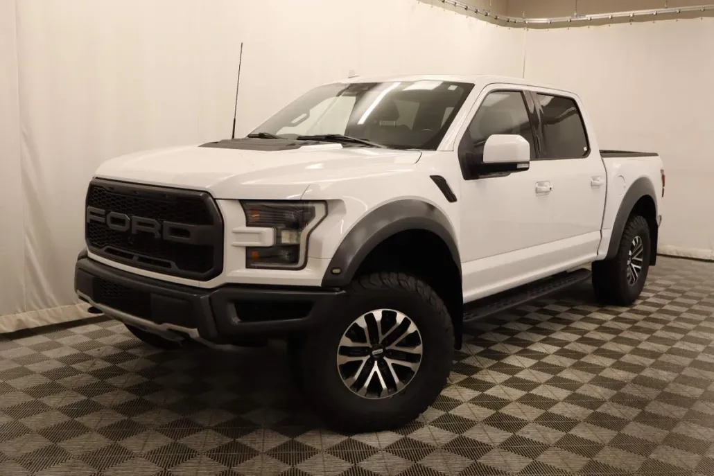 2019 Ford F-150 Raptor photo 1