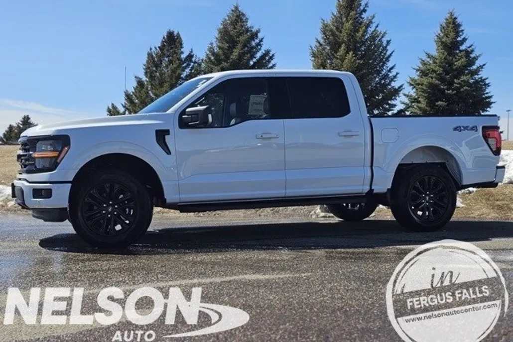 2025 Ford F-150 XLT photo 1