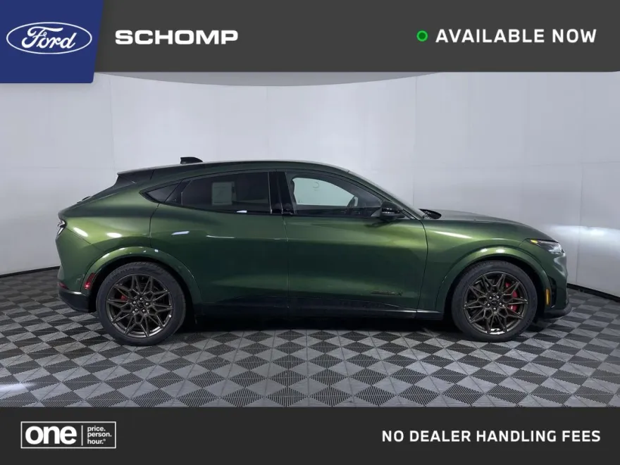 2025 Ford Mustang Mach-E GT photo 1