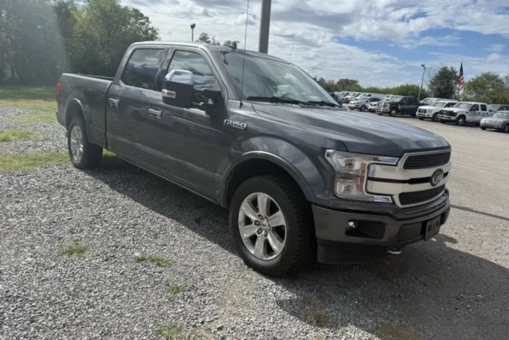 2019 Ford F-150 Platinum photo 1