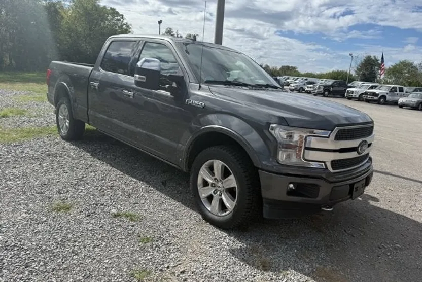 2019 Ford F-150 Platinum photo 1