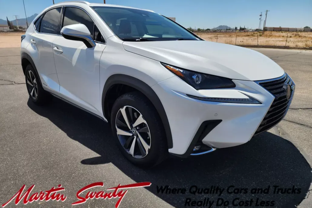 2021 Lexus NX 300h photo 1