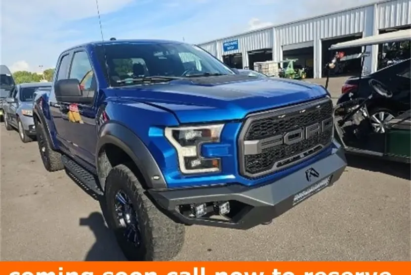 2017 Ford F-150 Raptor photo 1