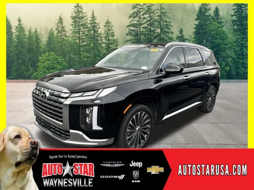 2023 Hyundai Palisade Calligraphy photo 1
