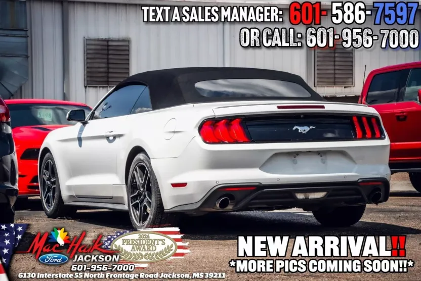 2020 Ford Mustang EcoBoost Premium Convertible photo 1