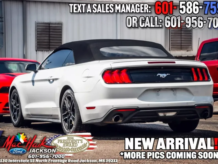 2020 Ford Mustang EcoBoost Premium Convertible photo 1
