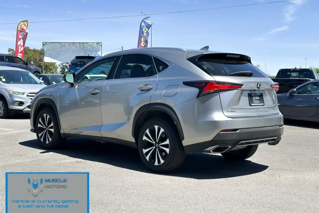 2019 Lexus NX 300 F SPORT photo 1
