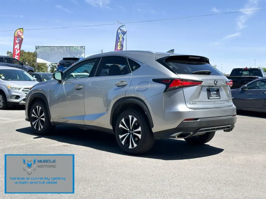 2019 Lexus NX 300 F SPORT photo 1