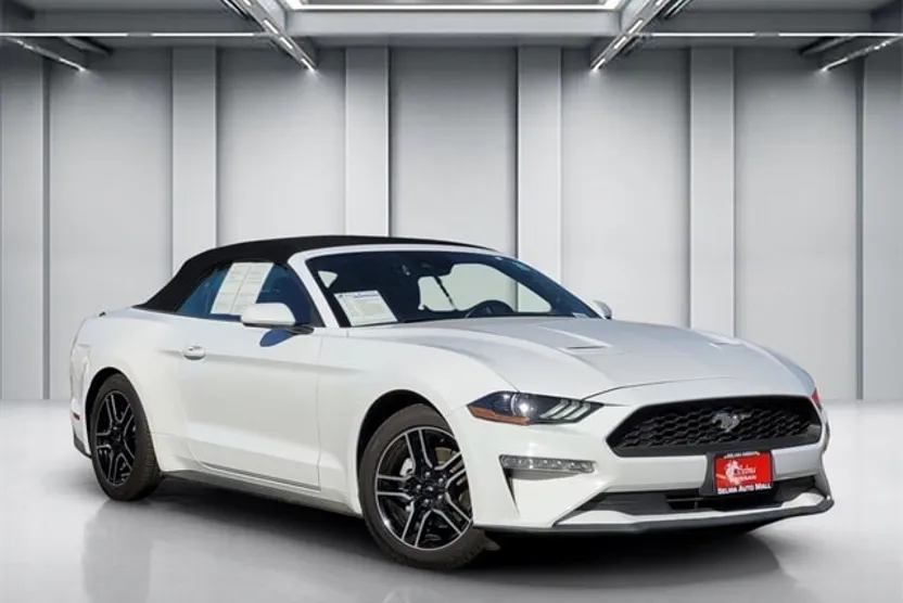 2023 Ford Mustang EcoBoost Premium photo 1