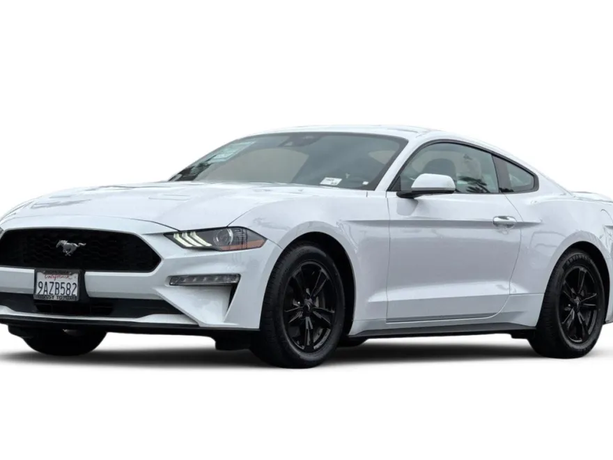 2021 Ford Mustang EcoBoost photo 1
