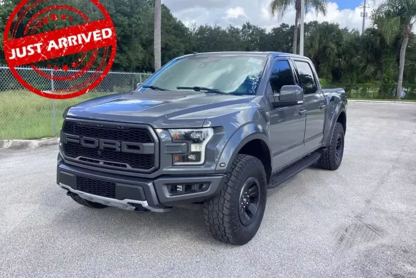 2018 Ford F-150 Raptor photo 1