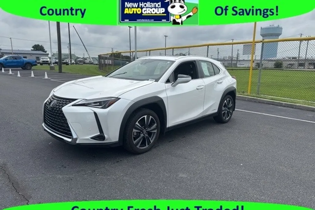 2021 Lexus UX 250h photo 1