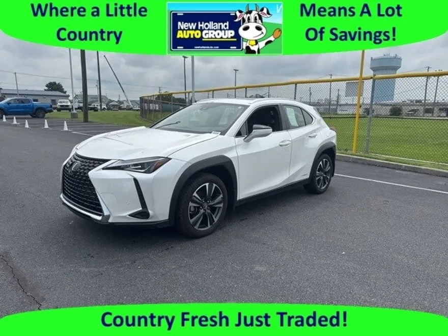 2021 Lexus UX 250h photo 1