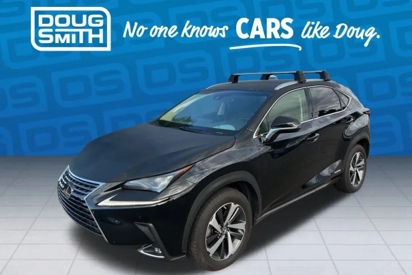 2018 Lexus NX 300h Luxury photo 1