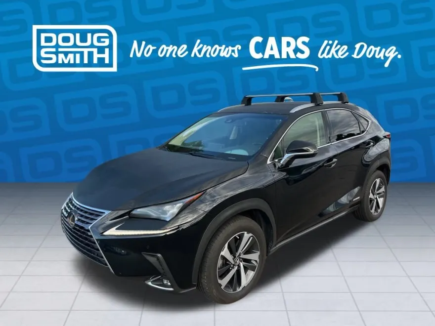 2018 Lexus NX 300h Luxury photo 1
