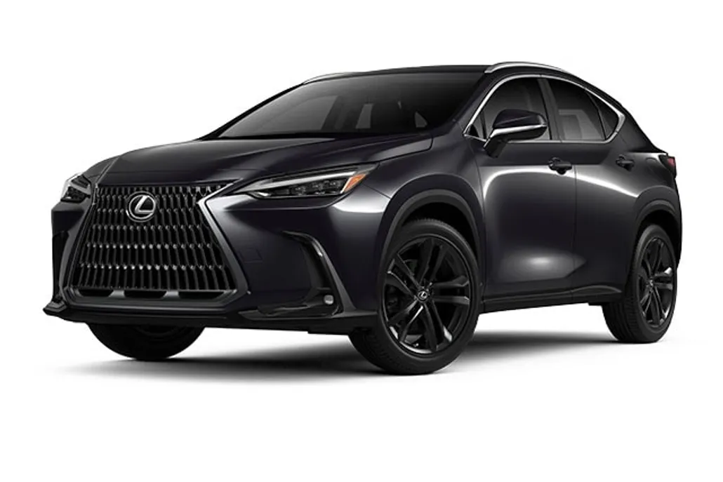 2025 Lexus NX Luxury photo 1